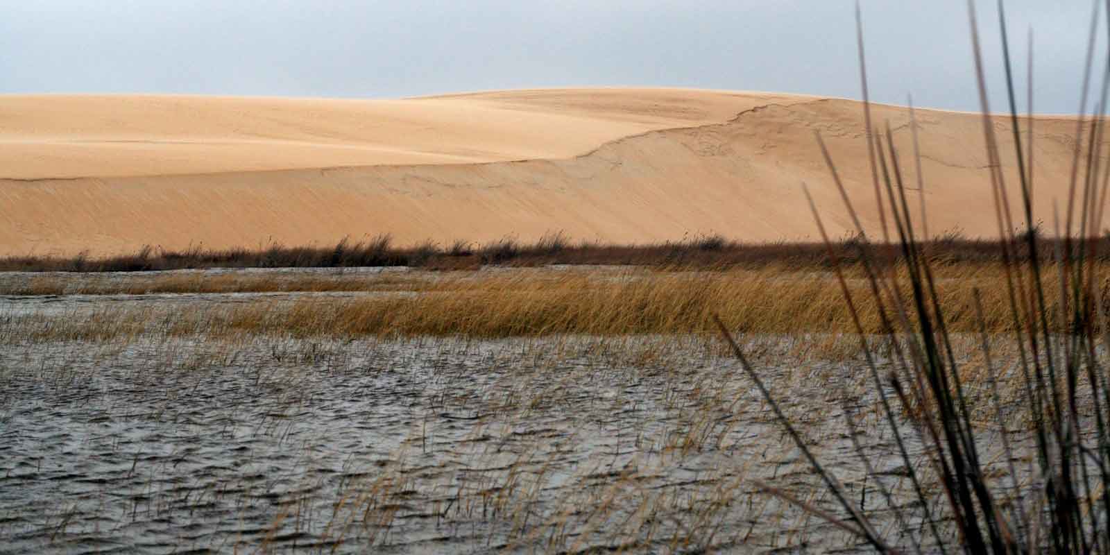 Corrubedo´s dunes