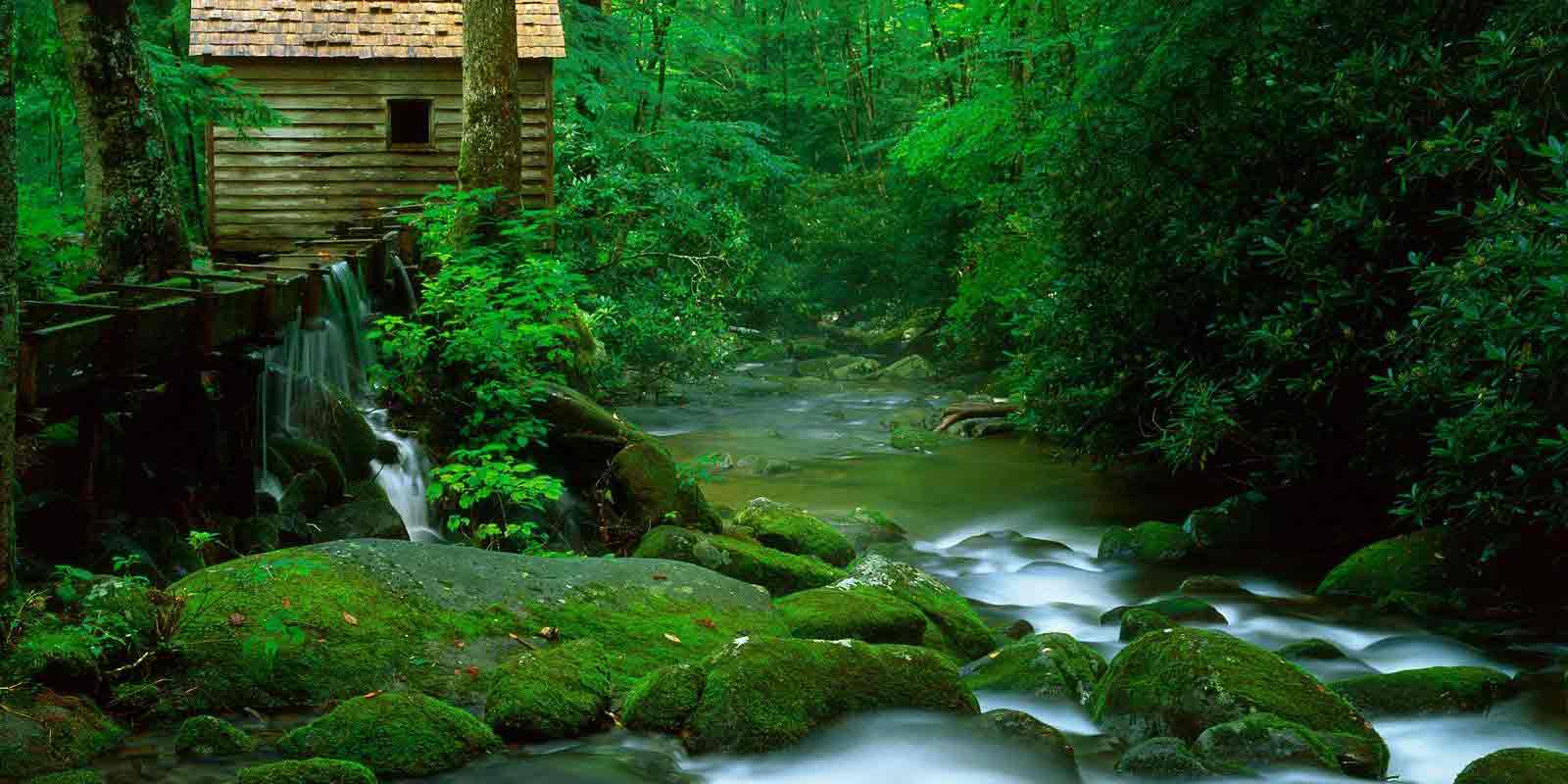 Springs of Mougás and El Rosal