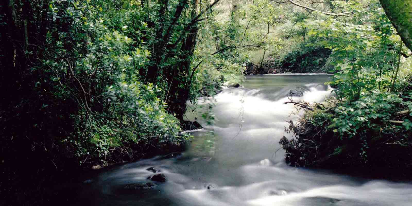 Hot springs